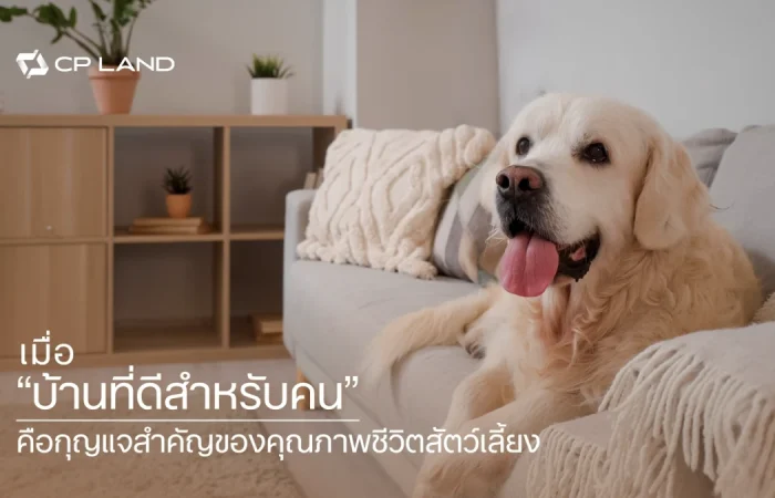 Banner_international-dog-day-pet-living-quality-cp-land